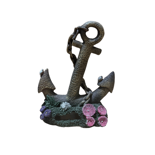 Sidro sa koralima dekoracija za akvarijum