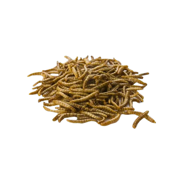 Fobasi S veličina - hrana za reptile 100kom