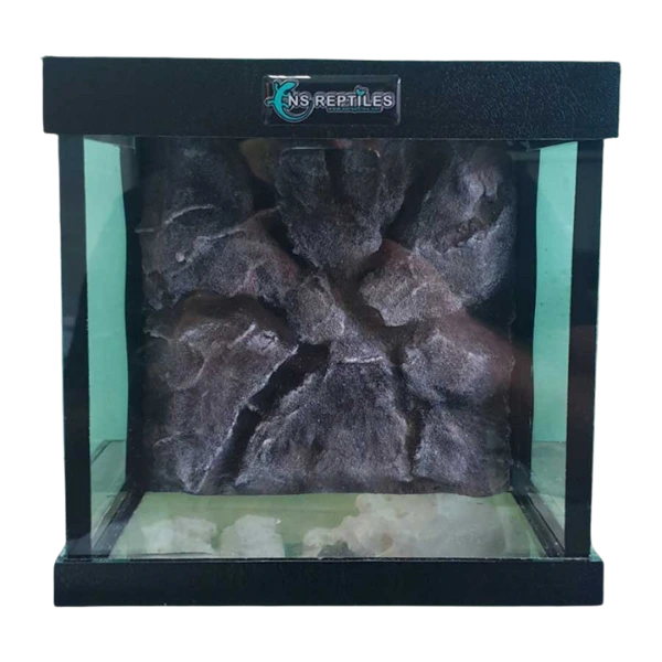 Stakleni terarijum 20x20x15cm sa 3D pozadinom