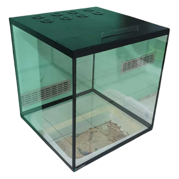 Stakleni terarijum 40x40x40cm