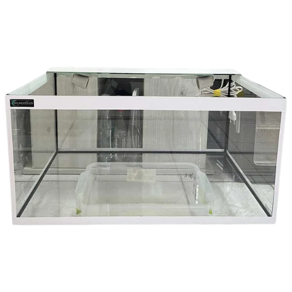 Stakleni terarijum 60x40x30cm