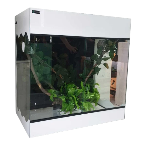 Stakleni terarijum 80x50x60cm